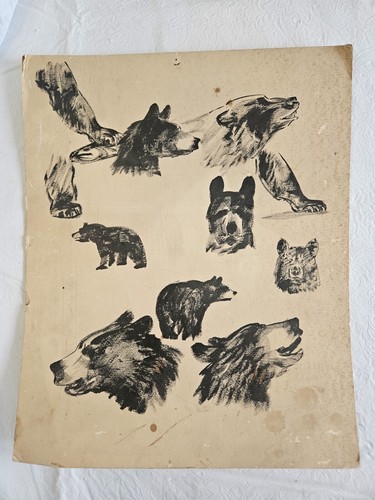 Dischizzi orso cartone - orso,